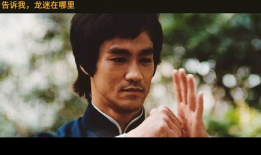 虎帅最新爆料视频播放在线观看