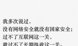 国家安全最新爆料信息,揭秘神秘爆料背后的真相