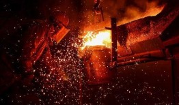 鲁美最新爆料消息