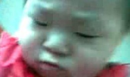 最新爆料肥猫视频,揭秘网络红猫幕后生活