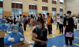 鲁美最新爆料消息